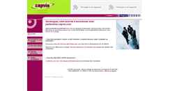 Desktop Screenshot of partenaires.capvie.com