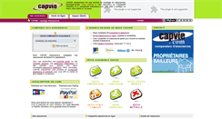 Desktop Screenshot of capvie.com